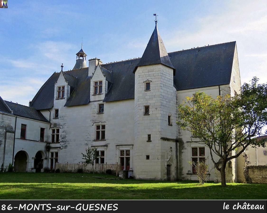 Monts-sur-Guesnes Domaine De Bourgville מראה חיצוני תמונה